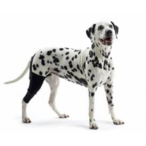 Kruuse Orthopaedic Dog Hind Knee Brace